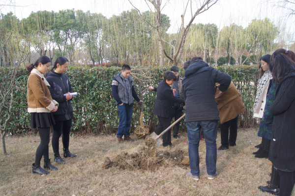 春风化雨 绿意承恩——2015年苏州评弹学校植树节活动